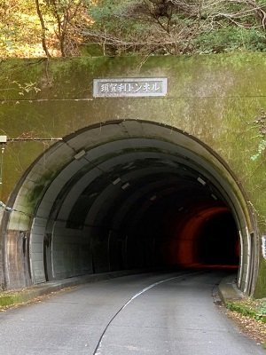 須賀利トンネル.jpg